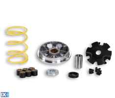 Βαριατόρ (multivar) MALOSSI SUZUKI BURGMAN 250 385111323