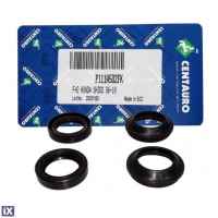 Σετ Τσιμούχες Πιρουνιού Με Ξύστρες Centauro Για Honda SH300 06-18 P111A502FK