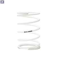 Κεντρικό ελατήριο φυγοκεντρικού Malossi Άσπρο 2915497.W0 2915497.W0