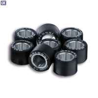 Αντίβαρα (ράουλα) φυγοκεντρικού MALOSSI F28,2x19,9 24 γραμμάρια 6615437.C0